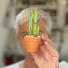 Load image into Gallery viewer, Mini Glass Snake Plant