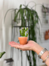 Load image into Gallery viewer, Miniature 'Bunny Ears' Glass Cactus