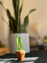 Load image into Gallery viewer, Mini Glass Snake Plant