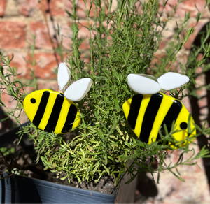 Bumblebee Plant Pal