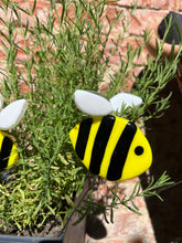 Load image into Gallery viewer, Bumblebee Plant Pal
