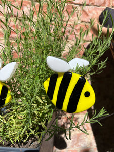 Bumblebee Plant Pal