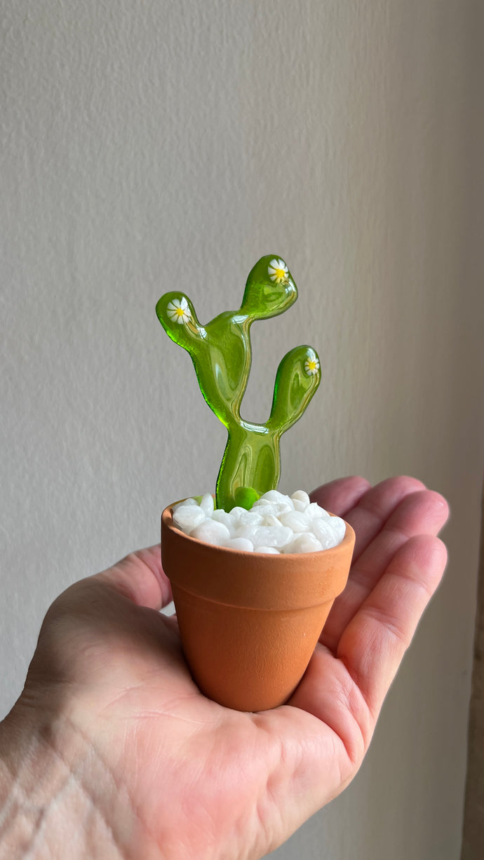 Miniature 'Bunny Ears' Glass Cactus