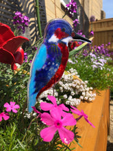 Load image into Gallery viewer, Glass Kingfisher Plant Pal
