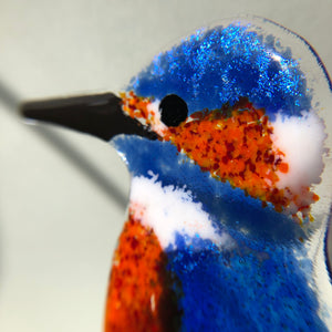 Glass Kingfisher Plant Pal